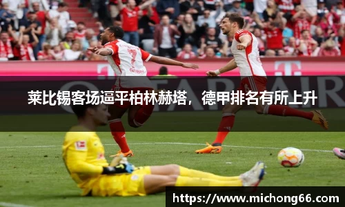 雷竞技raybet官网