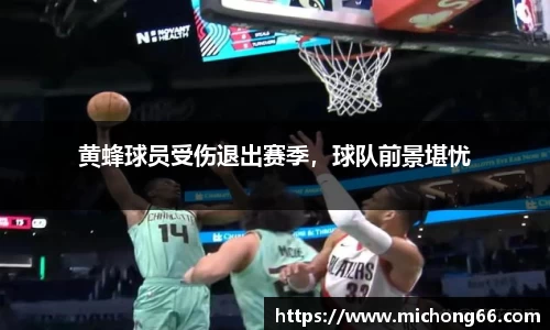 黄蜂球员受伤退出赛季，球队前景堪忧