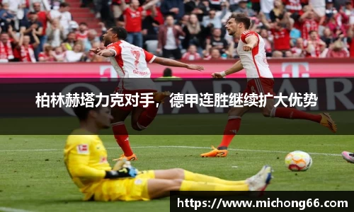 雷竞技raybet官网