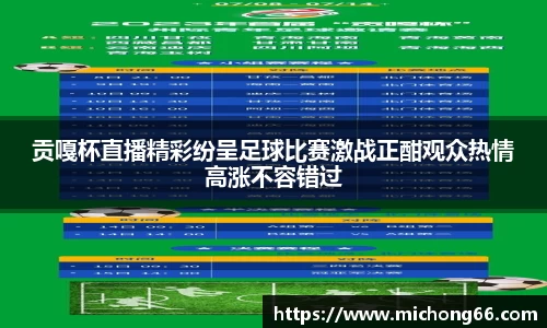 贡嘎杯直播精彩纷呈足球比赛激战正酣观众热情高涨不容错过