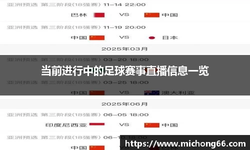 当前进行中的足球赛事直播信息一览