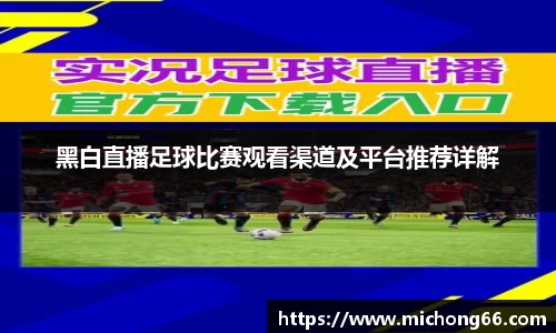 雷竞技raybet