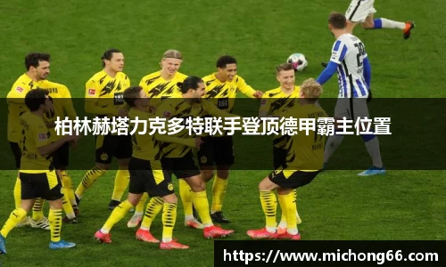 柏林赫塔力克多特联手登顶德甲霸主位置
